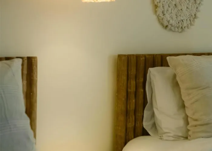 The Zen Wellness Resort